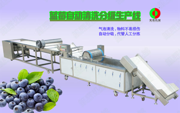 安源蓝莓/蔬果全自动清洗分级生产线